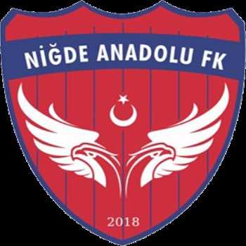 Niğde Anadolu