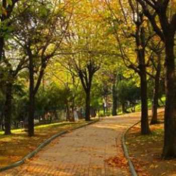 Abbasağa Parkı İstanbul