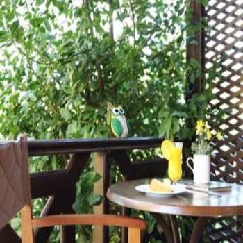  Ağva Robin's Nest (yetişkin Oteli + 12) Ağva / İstanbul