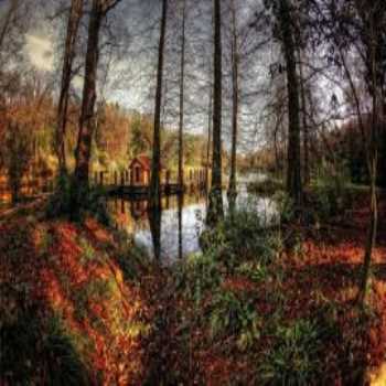 Atatürk Arboretumu İstanbul