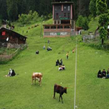  Ayder Villa De Pelit Hotel Ayder Yaylası / Rize