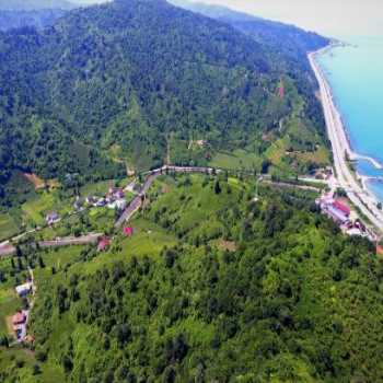  Babalık Doğal Yaşam Konağı Fındıklı / Rize