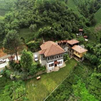  Babalık Doğal Yaşam Konağı Fındıklı / Rize