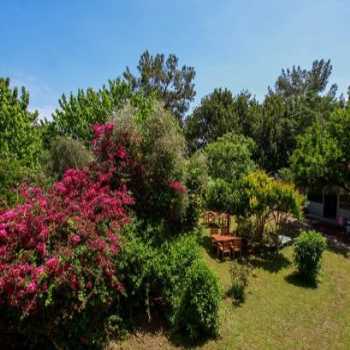  Barış Pansiyon & Bungalows Çıralı / Antalya