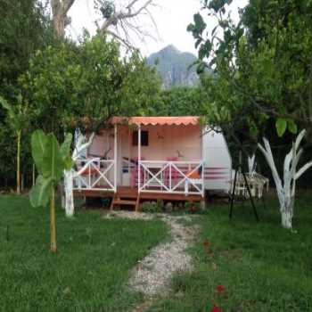  Bellerofon Camping Çıralı / Antalya