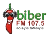  Biber Fm