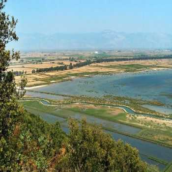 Büyük Menderes Deltası Milli Parkı Aydın