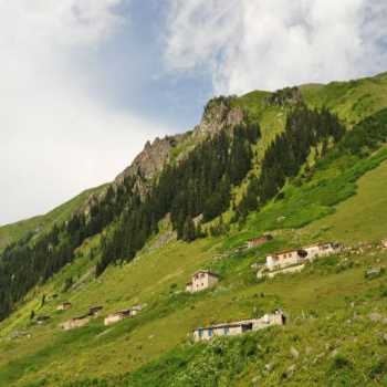 Çeymakçur Yaylası Rize