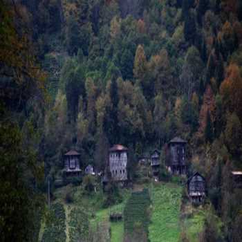 Çinçiva Köyü Rize