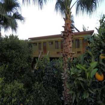  Çıralı Orange Motel Çıralı / Antalya