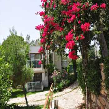  Club Datça Tatil Köyü Datça / Muğla