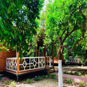  Eliz Inn Garden Apart Otel Kemer / Antalya