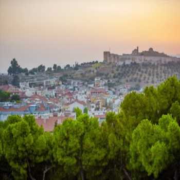  Ephesus Hillside Selçuk / İzmir