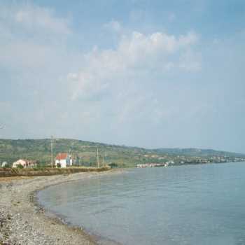 Eriklice Tekirdağ