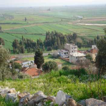 Eski Güllübahçe Aydın