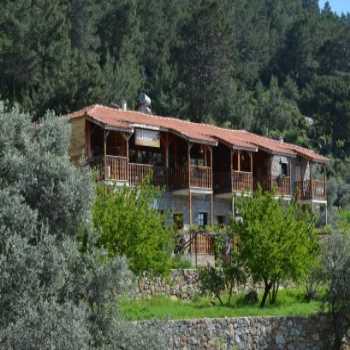  Faralya Limon Hotel Faralya / Muğla