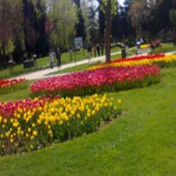 Göztepe Parkı İstanbul