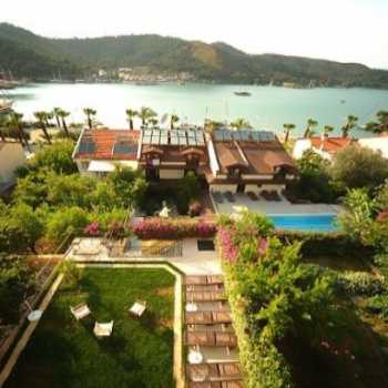  Hotel Villa Daffodil Fethiye Merkez / Muğla