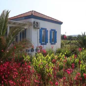  Ilgın Bağ Evi Bozcaada / Çanakkale