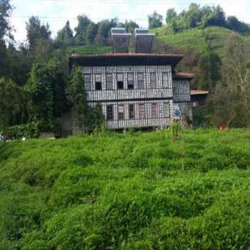  İnceler Konağı Fındıklı / Rize