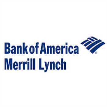 MERRILL LYNCH YATIRIM BANK A.Ş