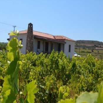  Karna Bağ Evi Bozcaada / Çanakkale