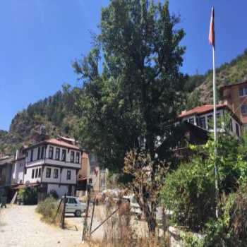  Keyvanlar Konağı Mudurnu / Bolu