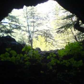 Kurtini Mağarası Afyonkarahisar