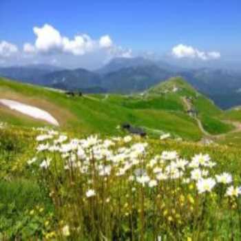 Lapazan Yaylası Trabzon