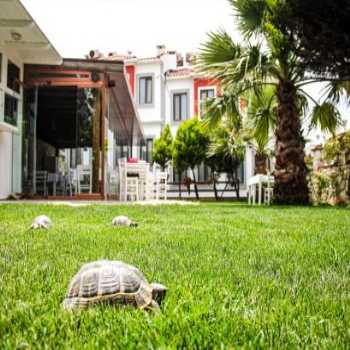  Lavinya Otel Bozcaada Bozcaada / Çanakkale