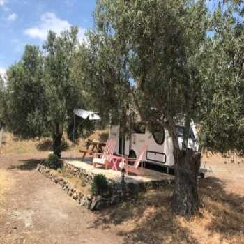  Mola Glamping Ayvalık / Balıkesir