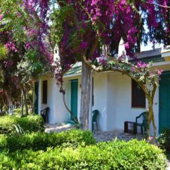  Myndos Bed & Breakfast Gümüşlük Gümüşlük / Muğla