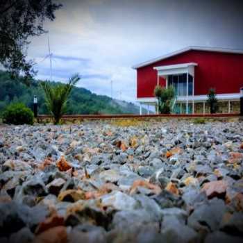  Naturla Göl Evi Urla Urla / İzmir