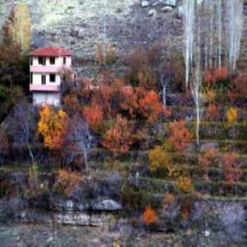 Niğde Kayardı Bağları Niğde