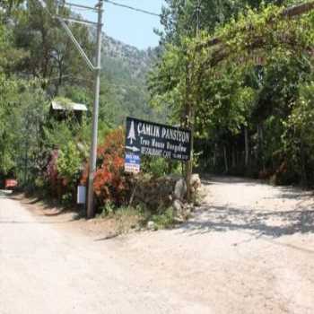  Olympos Çamlık Pansiyon Olimpos Mevkii / Antalya