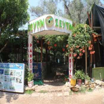  Olympos Zeytin Olimpos Mevkii / Antalya