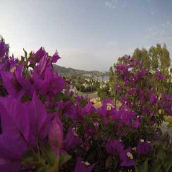  Panorama Hotel Türkbükü Türkbükü / Muğla