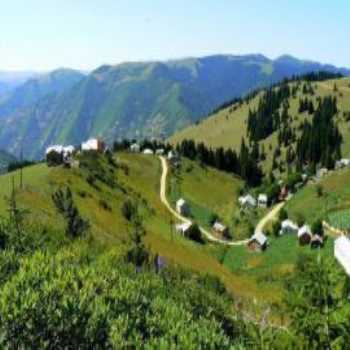 Paşakonağı Yaylası Giresun