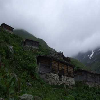 Polakcur Yaylası Rize