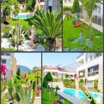  Ray Homes Kemer Merkez / Antalya