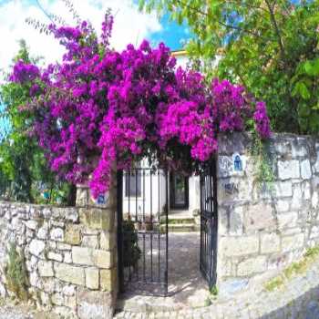  Saklı Konak Karaburun Karaburun / İzmir