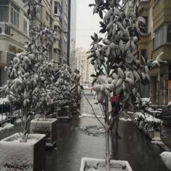  Senator Hotel Beyoğlu / İstanbul