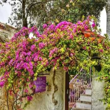  Serin Konak Alaçatı / İzmir