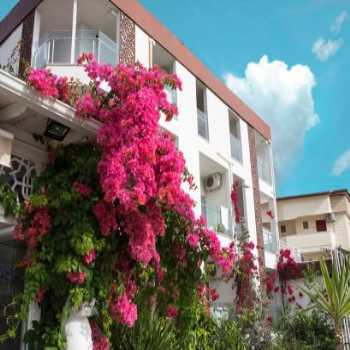  Side Nossa Hotels Side Antalya / Antalya