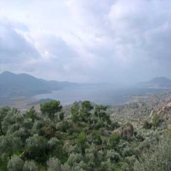  Silva Oliva Hotel & Farm Bafa / Muğla