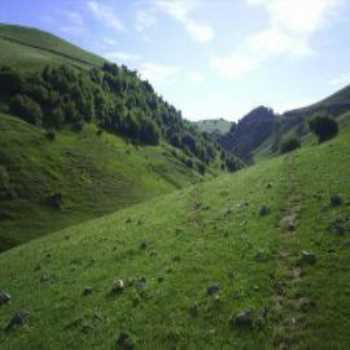 Şolma Yaylası Trabzon