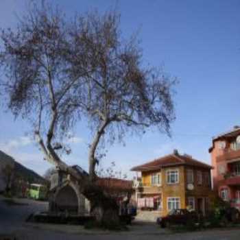 Topuklu Çeşmesi İstanbul