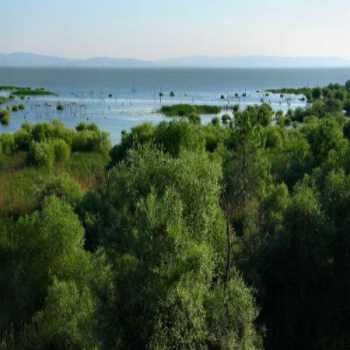 Uluabat Kuş Cenneti Bursa