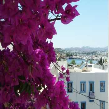  Uyku Pansiyon Bodrum / Muğla