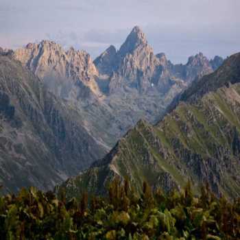 Verçenik Dağı Rize